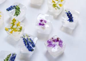 Lire la suite à propos de l’article Le glaçon anti-bouton : une astuce toute fraîche